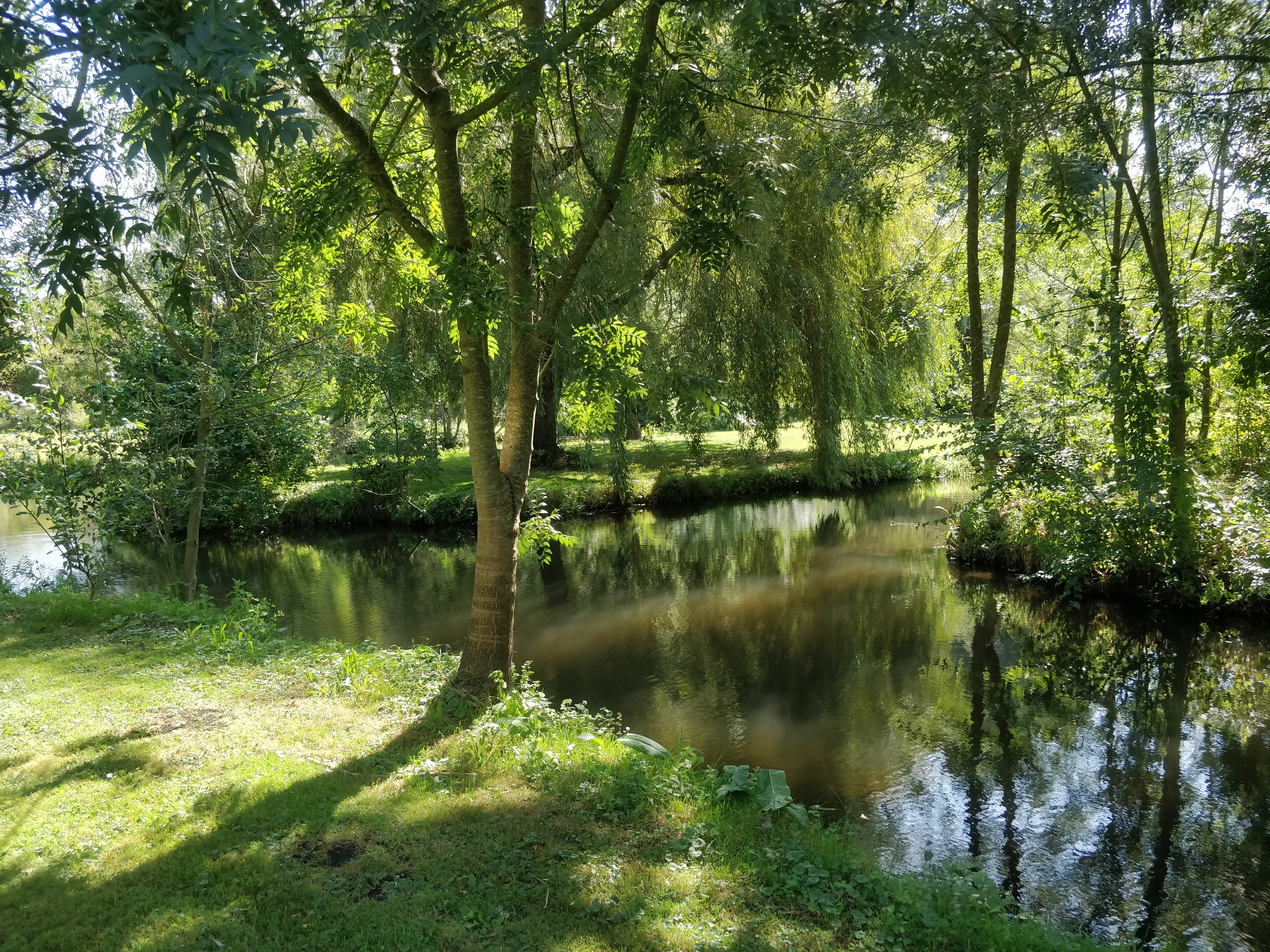 Un jardin ressourçant!